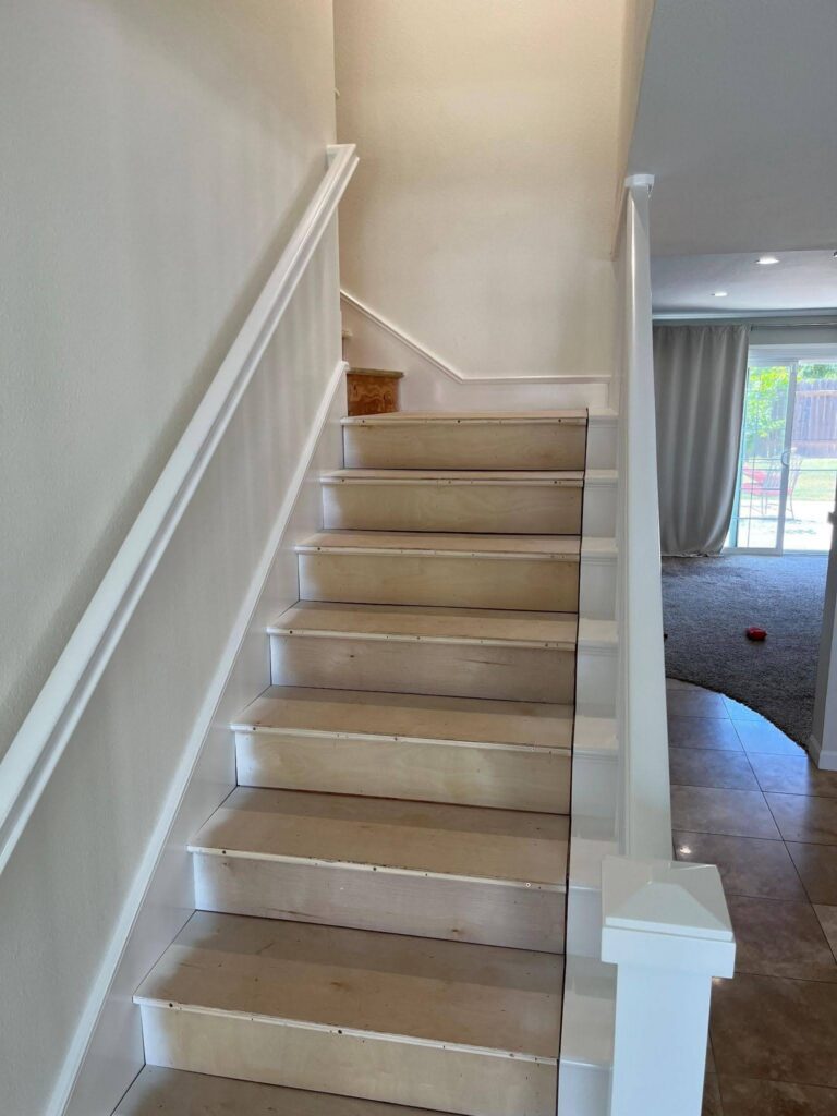 Carpet Ready 7